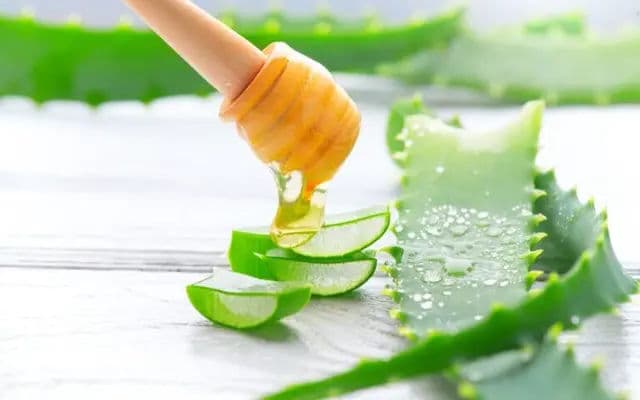 Aloe Vera Gel