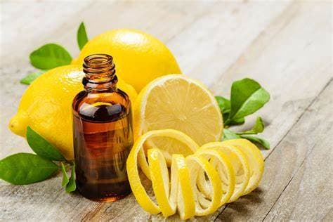 Citrus Limon