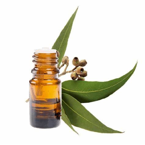 Tea Tree Oil
