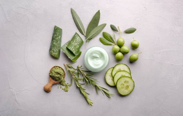 Aloe Vera