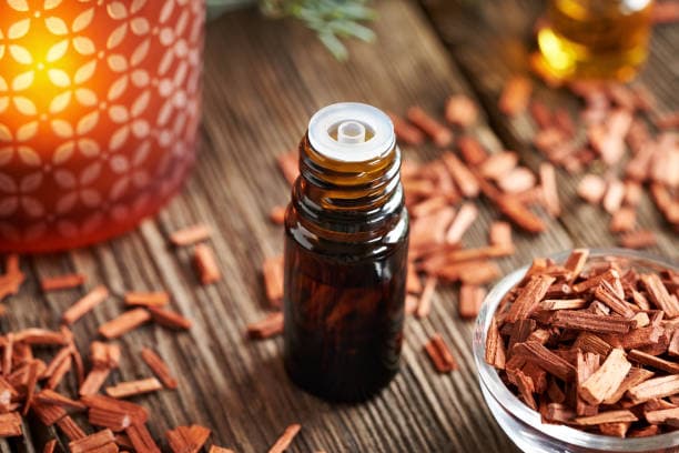 Sandalwood Oil